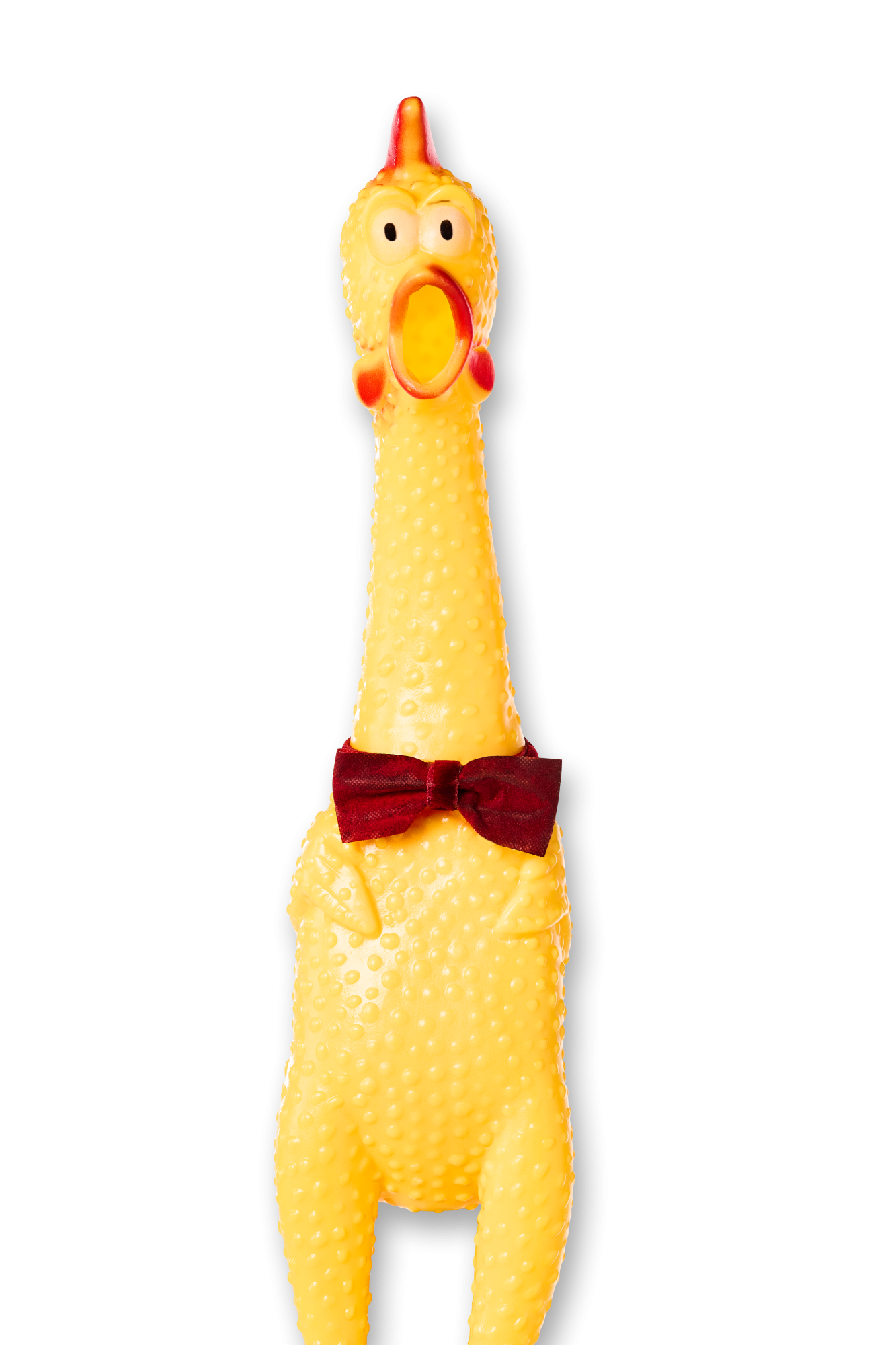 Kip